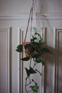Suspensions Macramé - Noeuds Plats
